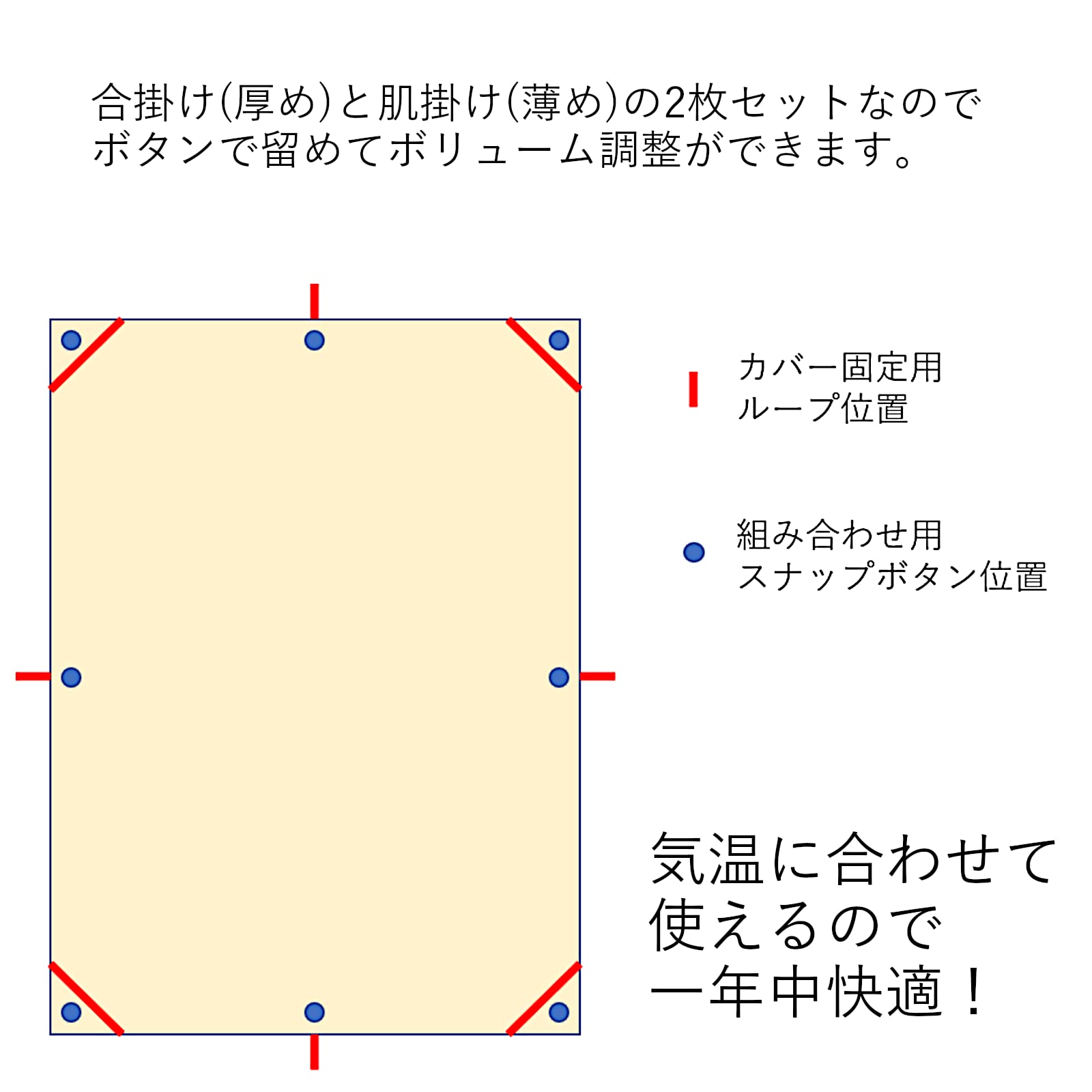 Amazon｜dream bed 羽毛ふとん ダブル 幅190cm 光電子 ® 羽毛ふとん